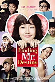 Finding Mr. Destiny (2010)