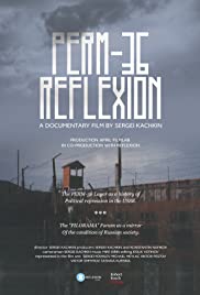 Perm36. Reflexion (2016)