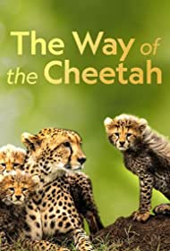 The Way of the Cheetah (2022)