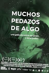 Muchos pedazos de algo (2015)