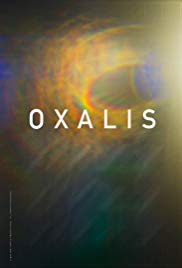 Oxalis (2018)