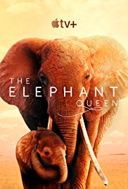 The Elephant Queen (2019)